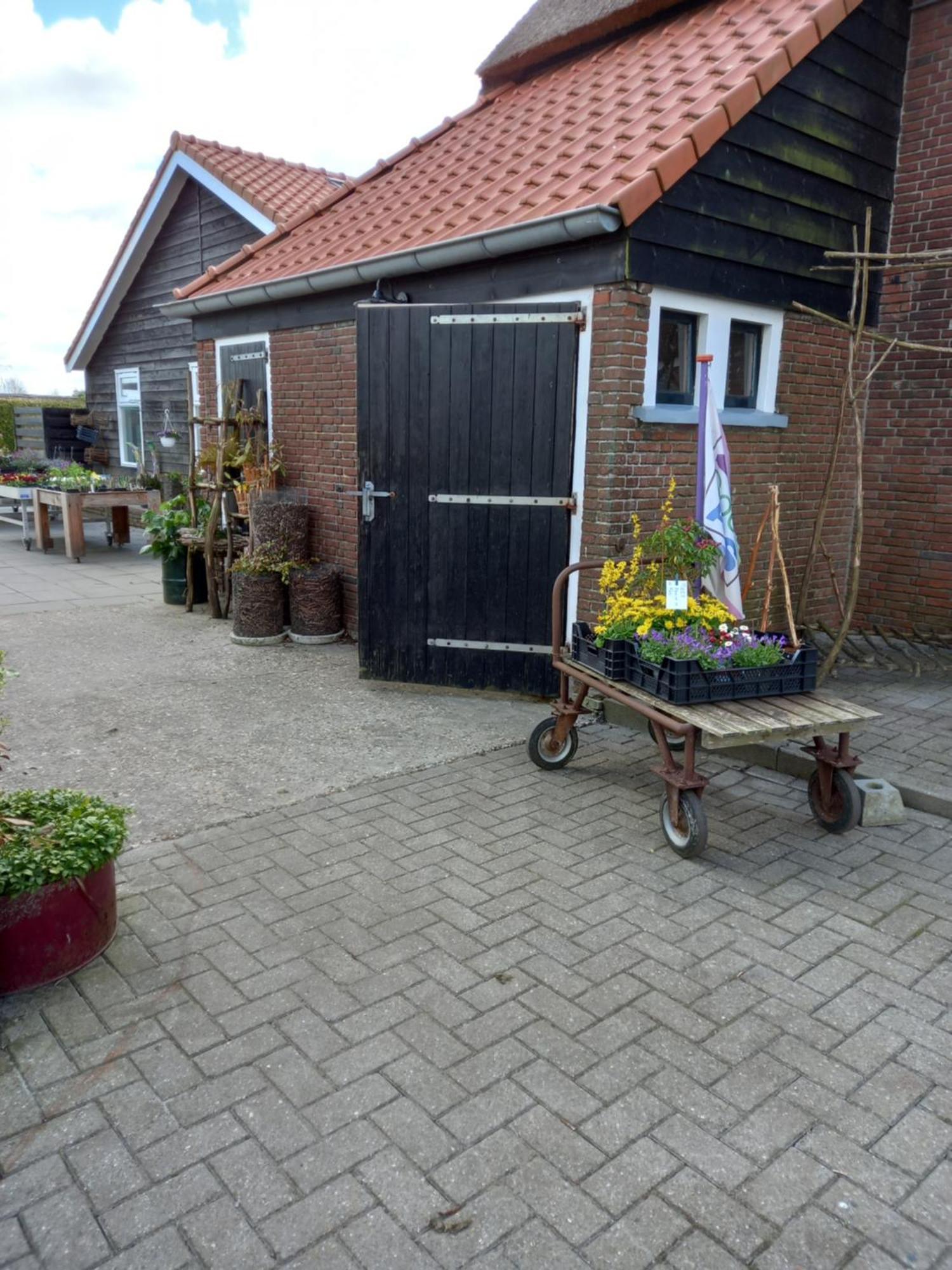 B&B Aan De Fjildwei Rinsumageest エクステリア 写真